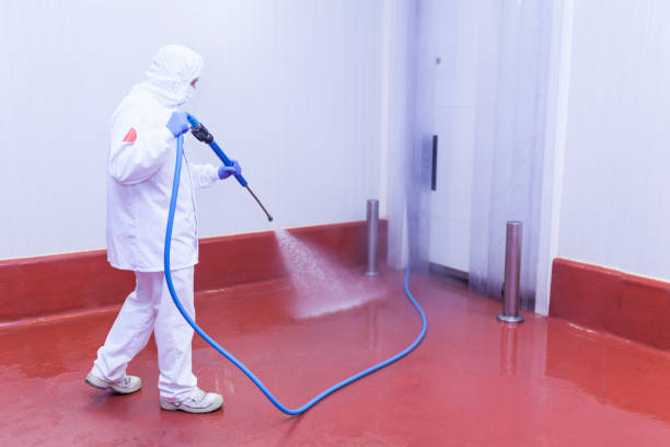 Trusted Rio Grande City, TX Pressure Washing Services Experts