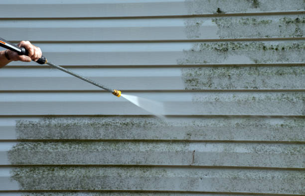 Best Solar Panel Cleaning  in Rio Grande City, TX